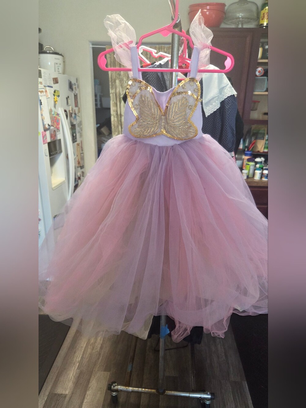 Pottery Barn Kids Butterfly Fairy Costume 3t